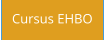 Cursus EHBO